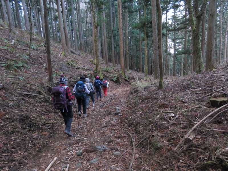 杓子山、鹿留山