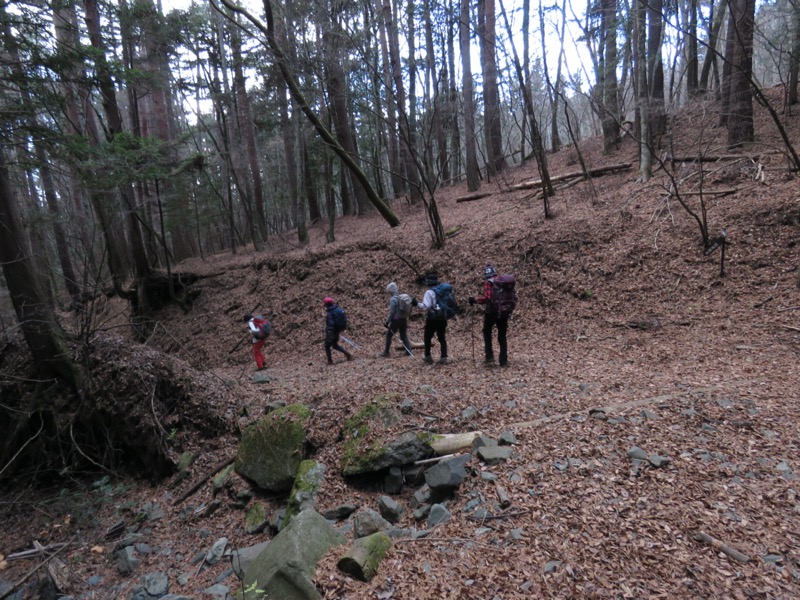 杓子山、鹿留山