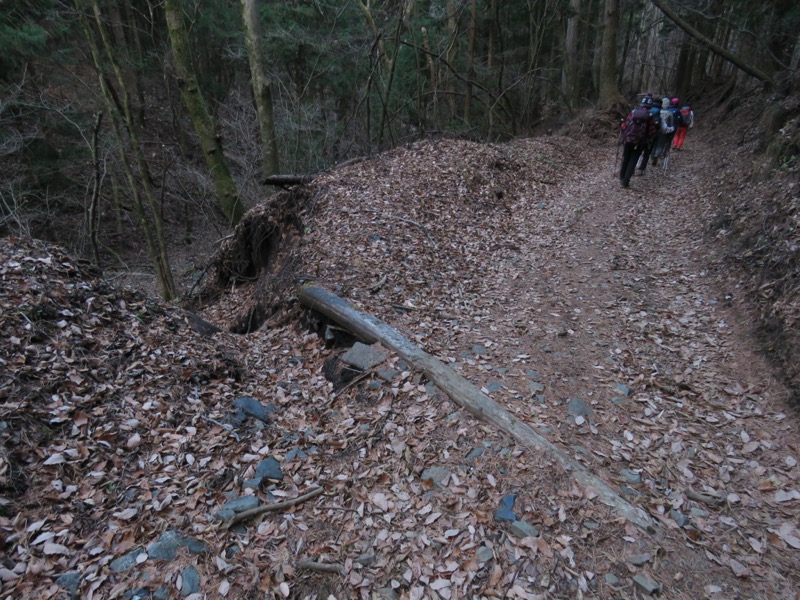 杓子山、鹿留山