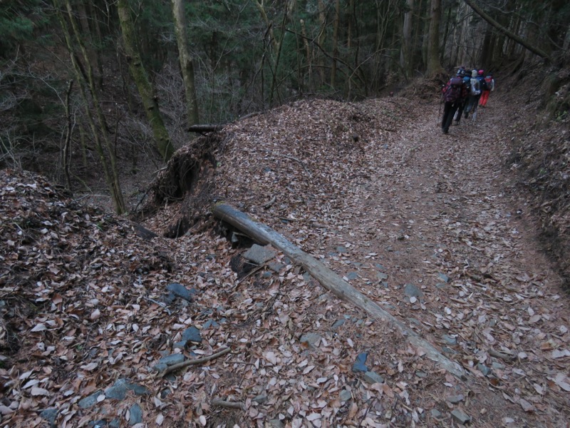 杓子山、鹿留山