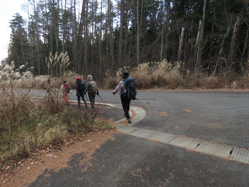 杓子山、鹿留山