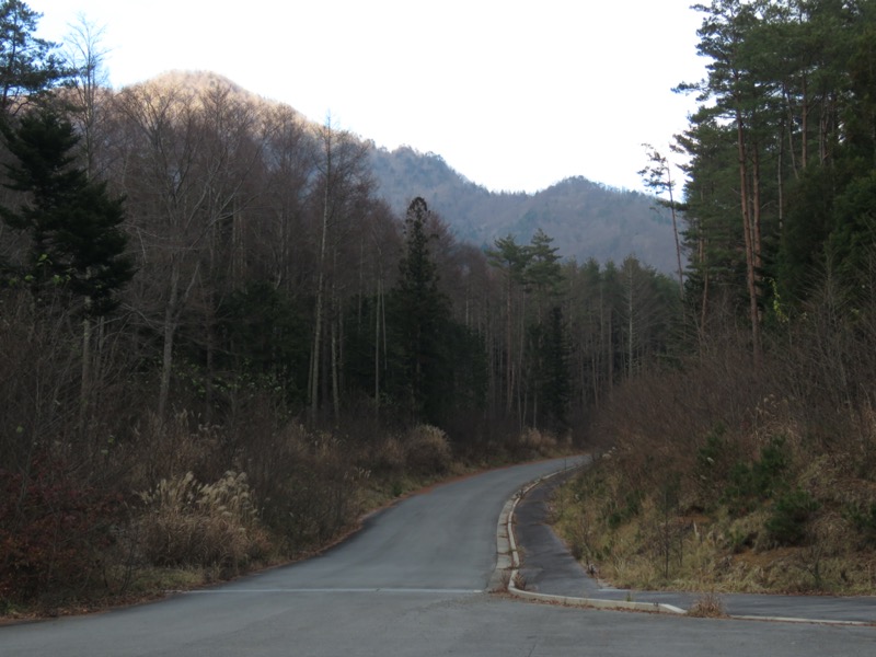 杓子山、鹿留山