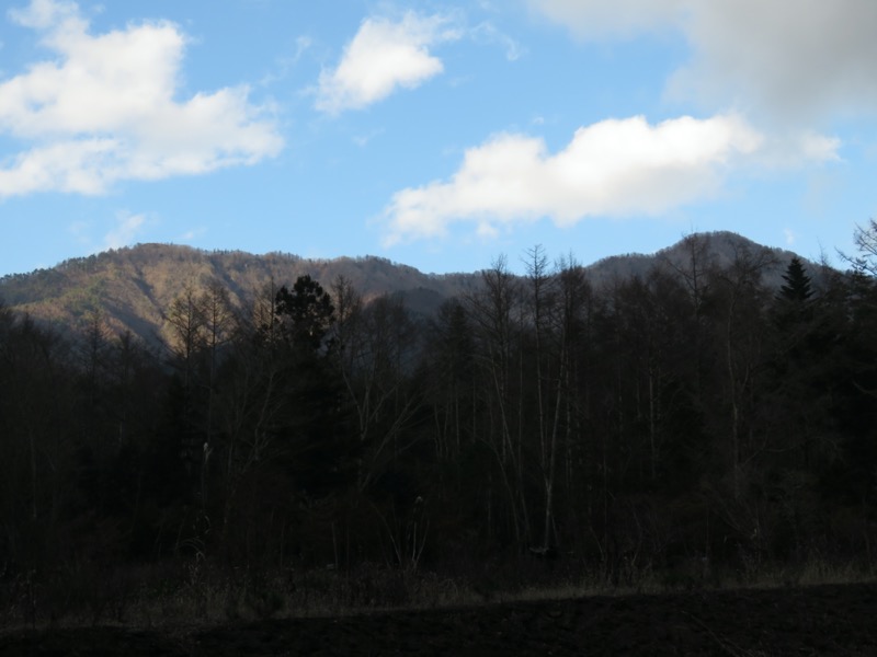 杓子山、鹿留山