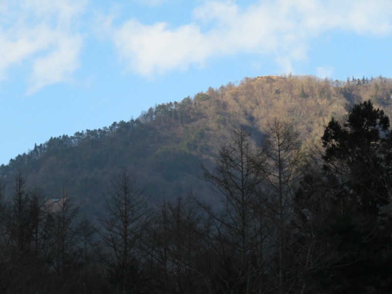 杓子山、鹿留山