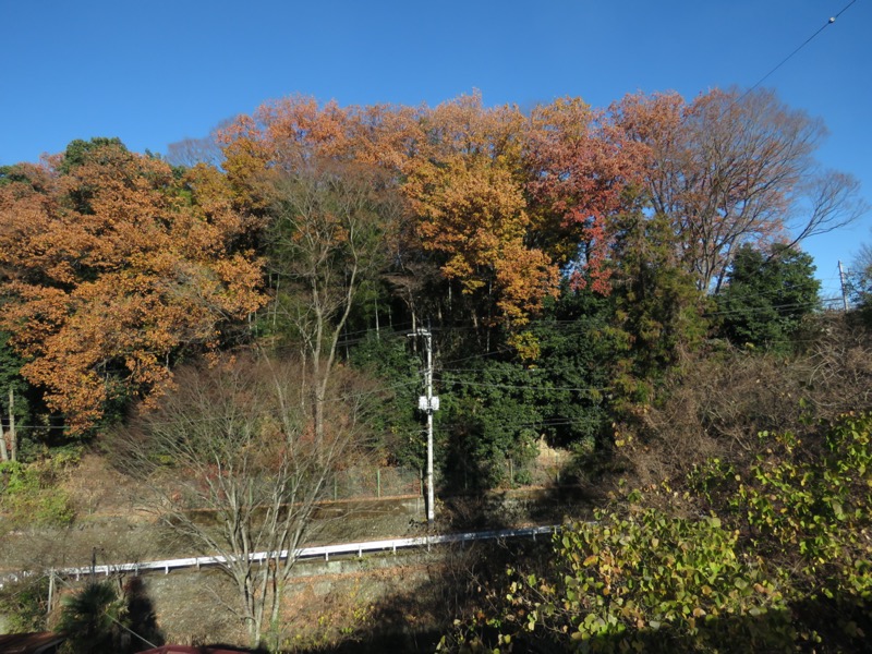 戸倉・城山