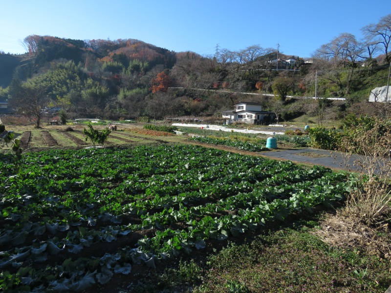 戸倉・城山