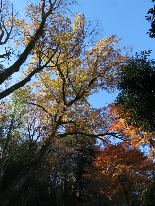 戸倉・城山