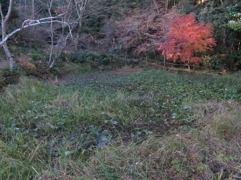 戸倉・城山