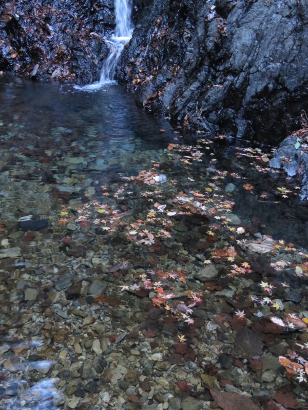 戸倉・城山