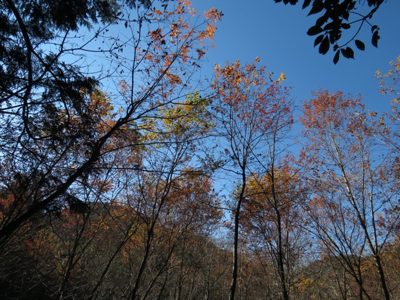 戸倉・城山