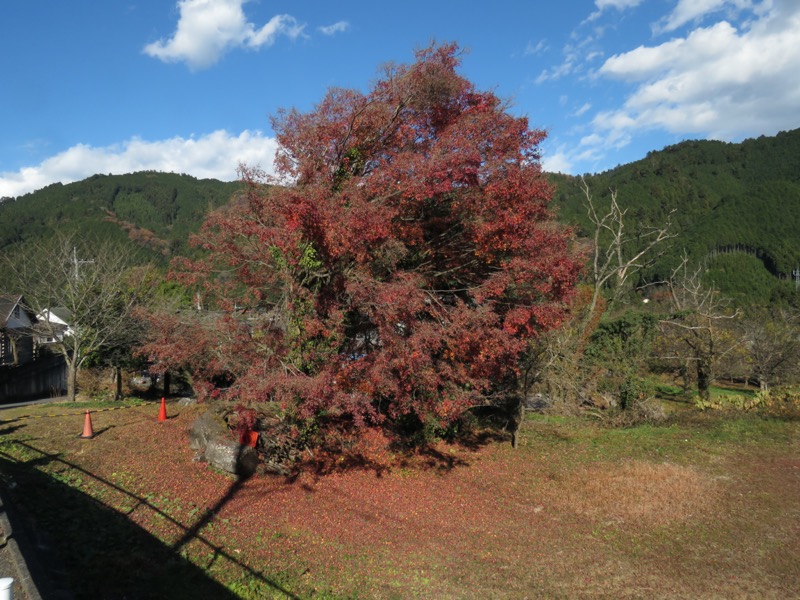 戸倉・城山