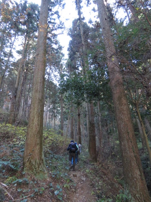 戸倉・城山