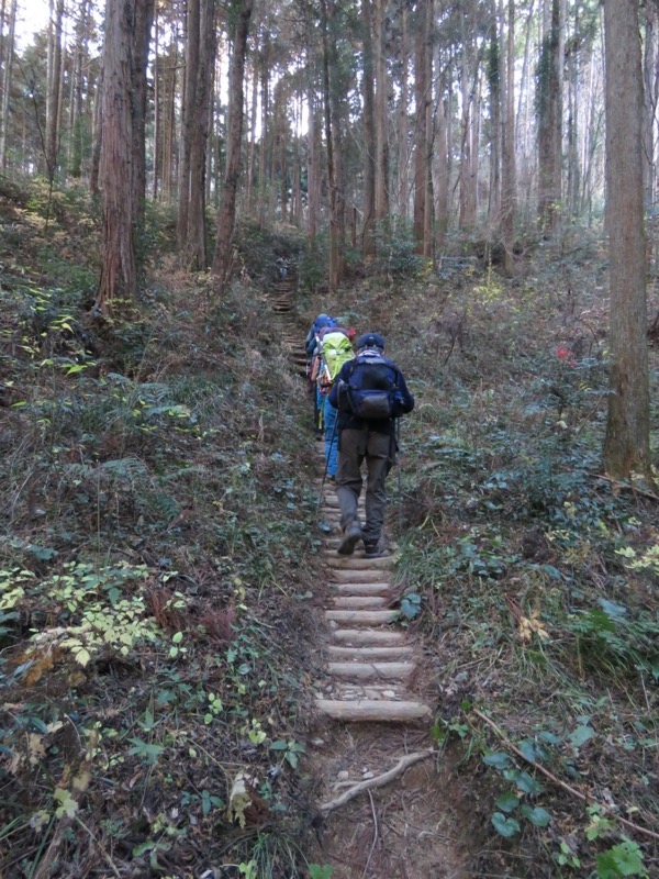 戸倉・城山