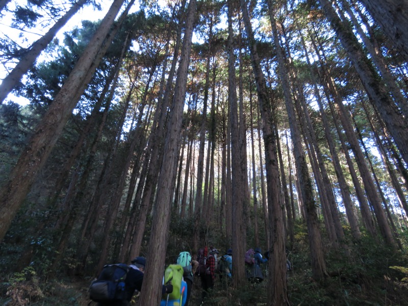 戸倉・城山