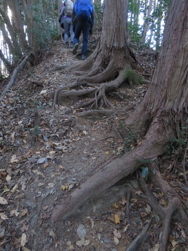 戸倉・城山