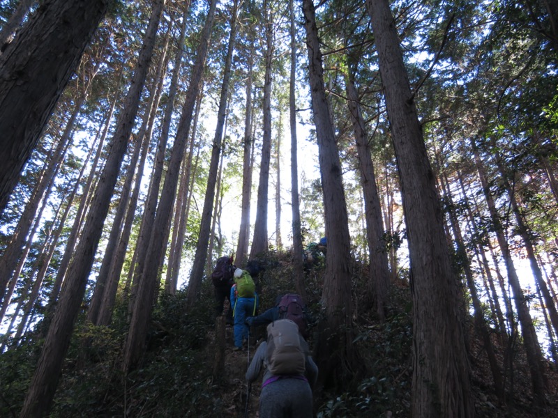 戸倉・城山