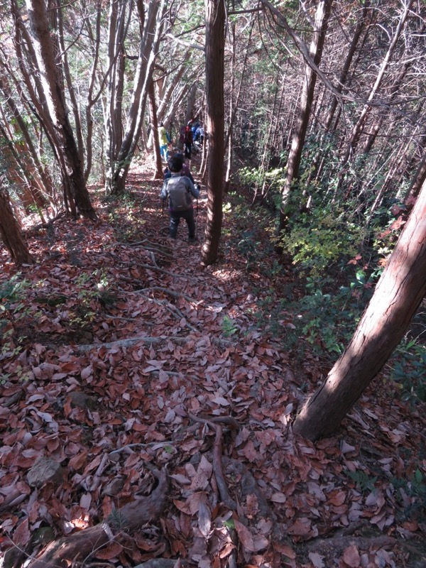 戸倉・城山