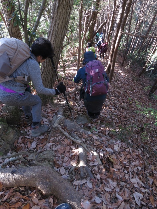 戸倉・城山