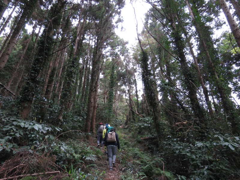 高鶴山