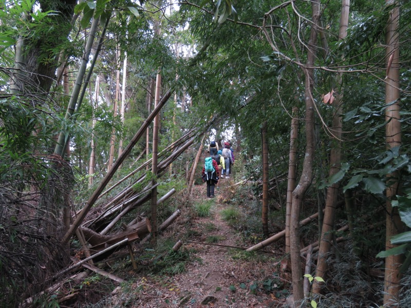 高鶴山