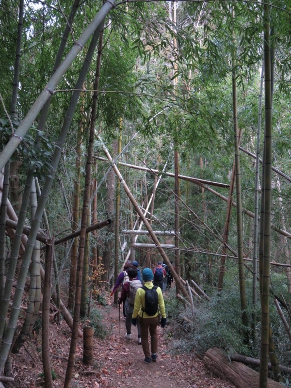 高鶴山