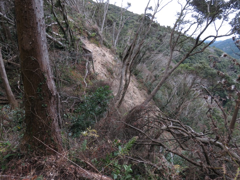 高鶴山