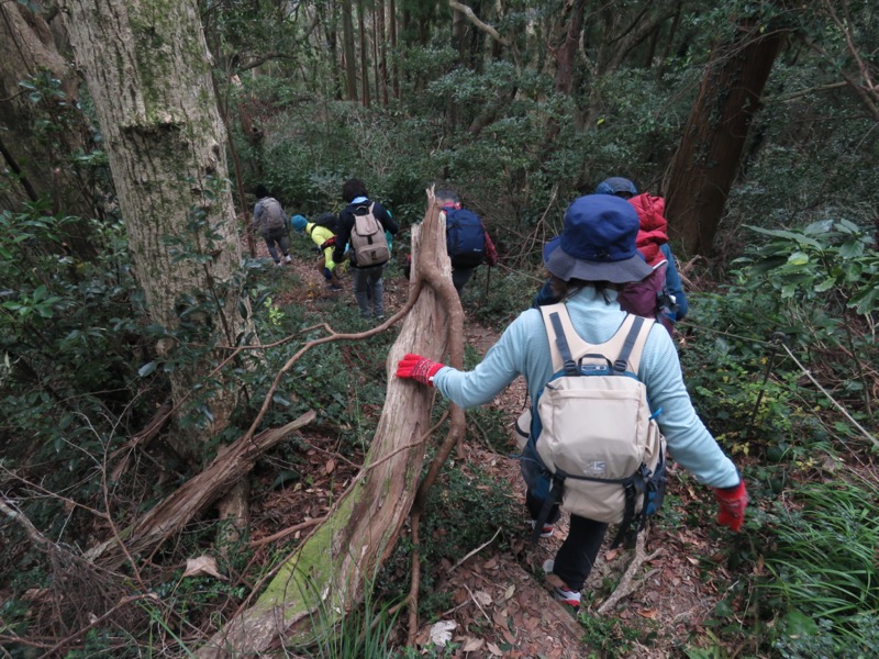 高鶴山