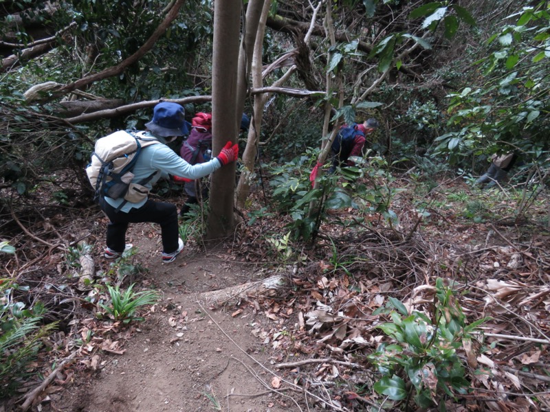 高鶴山