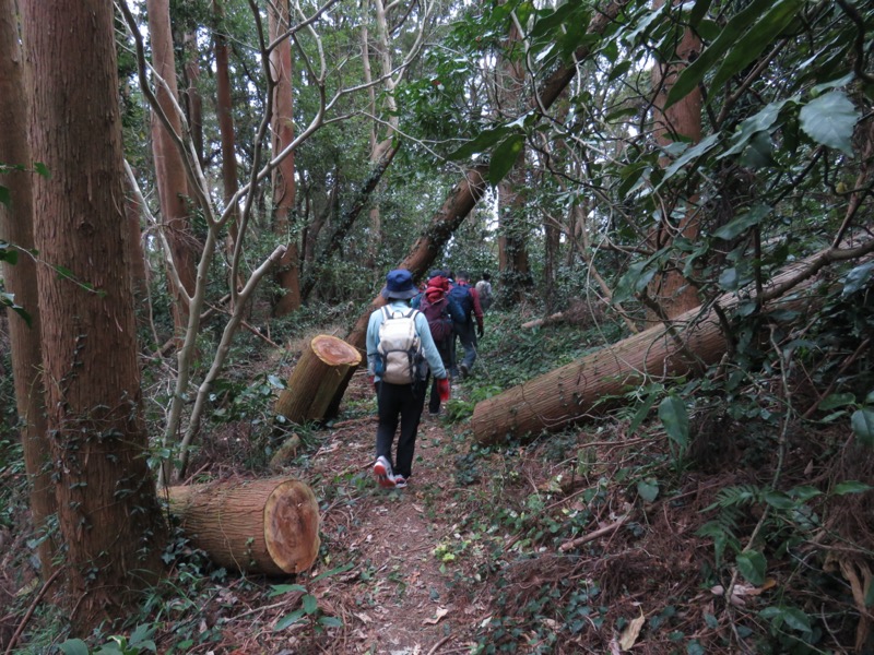 高鶴山