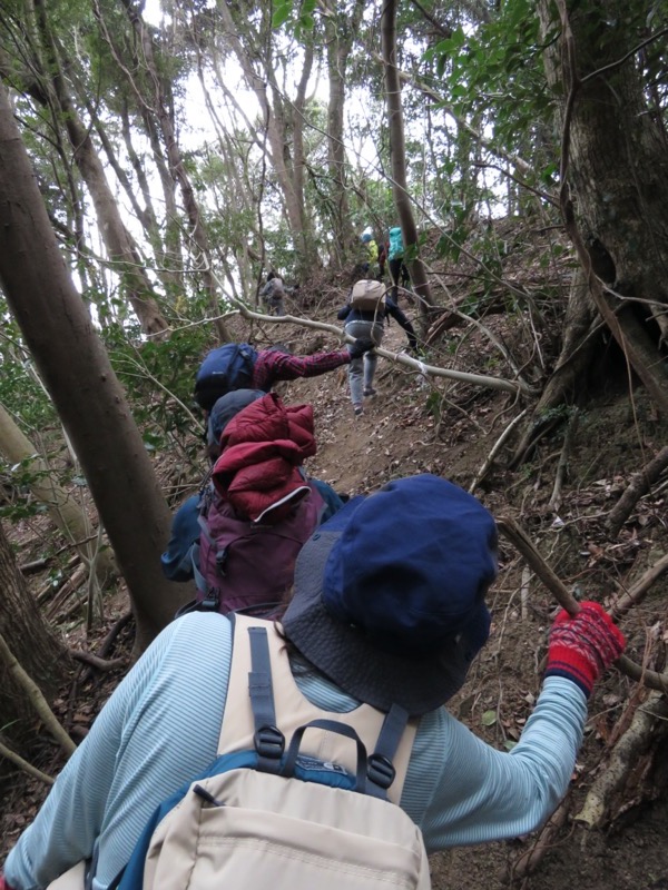 高鶴山