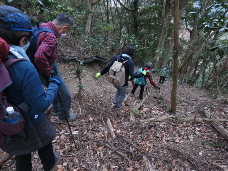 高鶴山