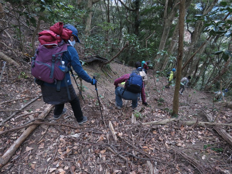 高鶴山