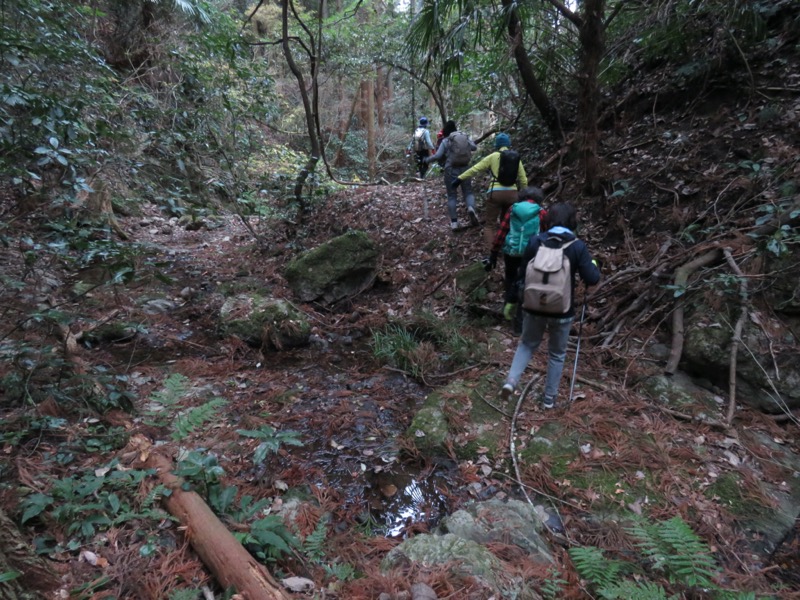 高鶴山