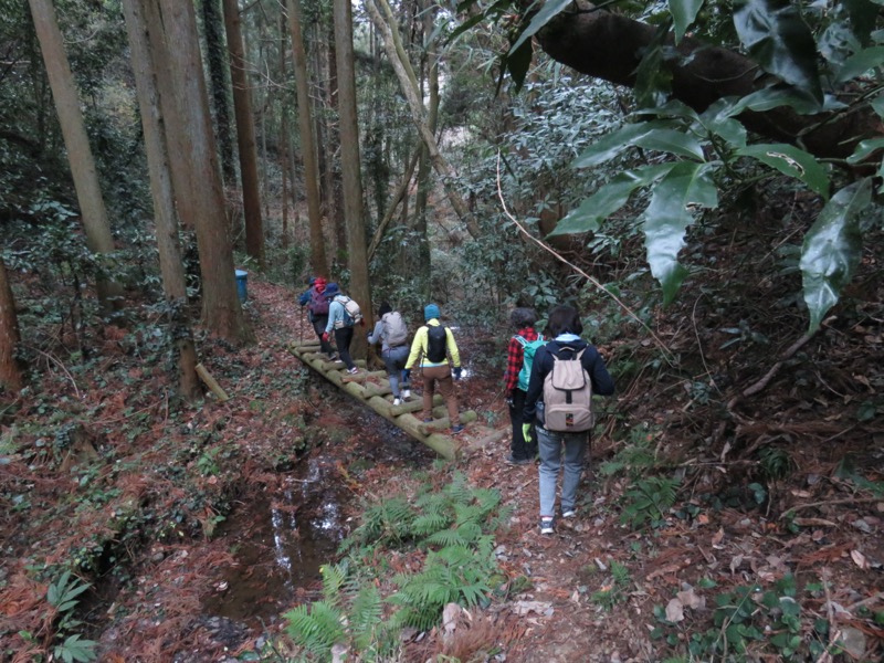 高鶴山