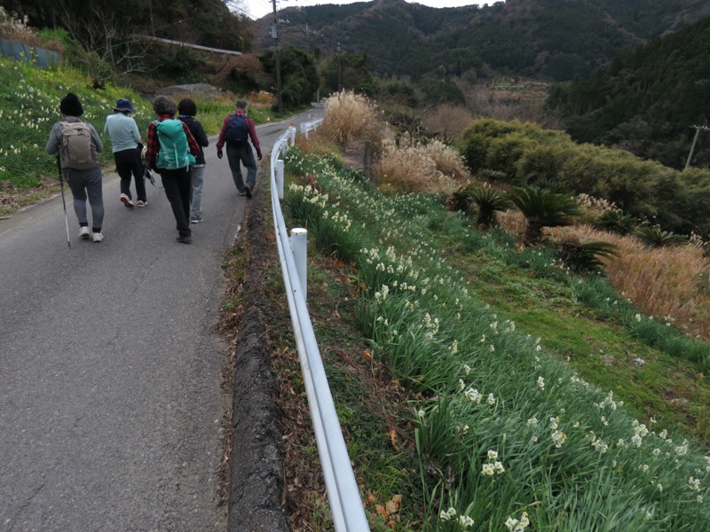 高鶴山