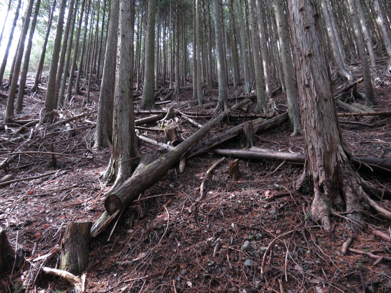 九鬼山