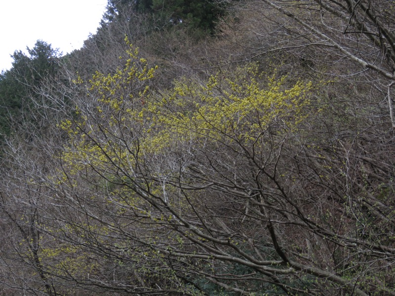 九鬼山