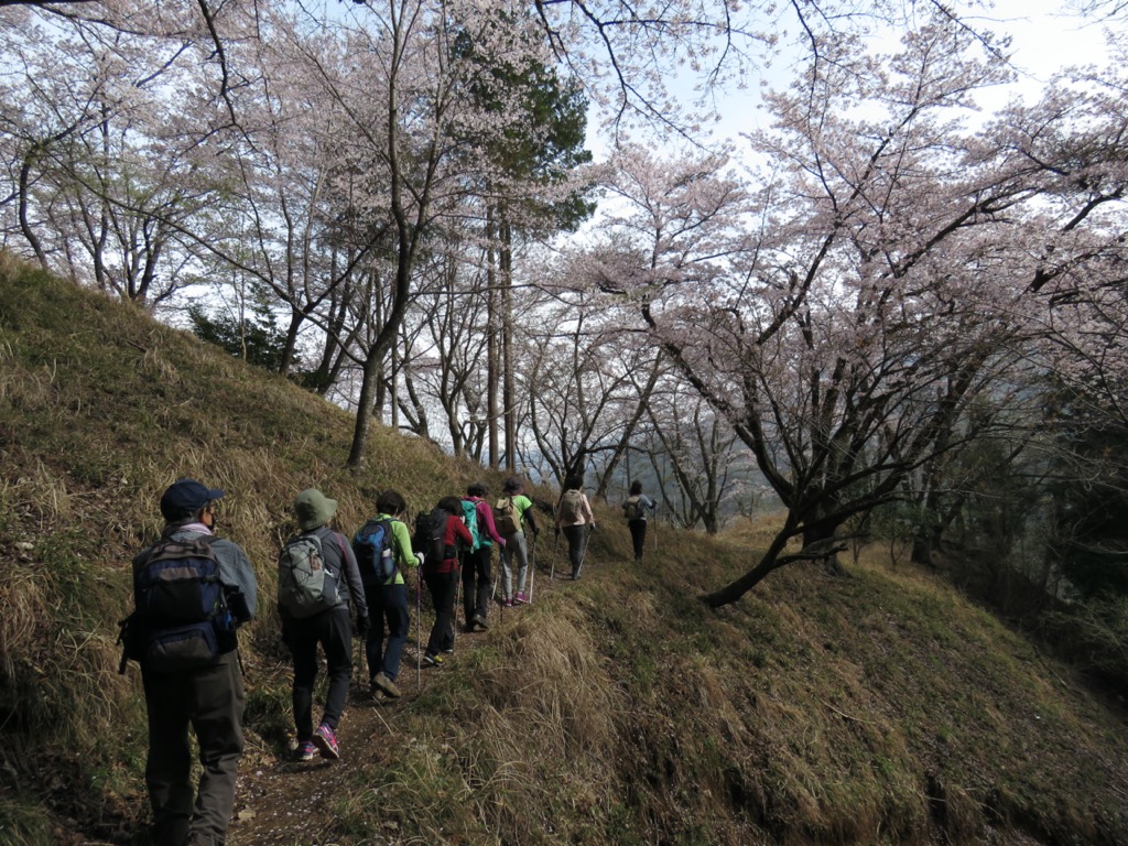 岩殿山