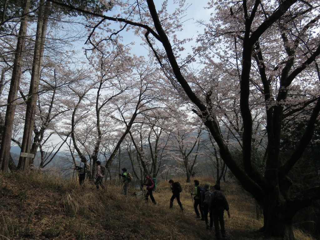 岩殿山