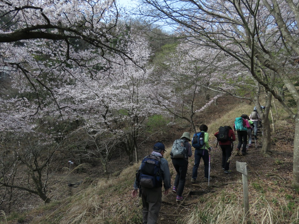 岩殿山