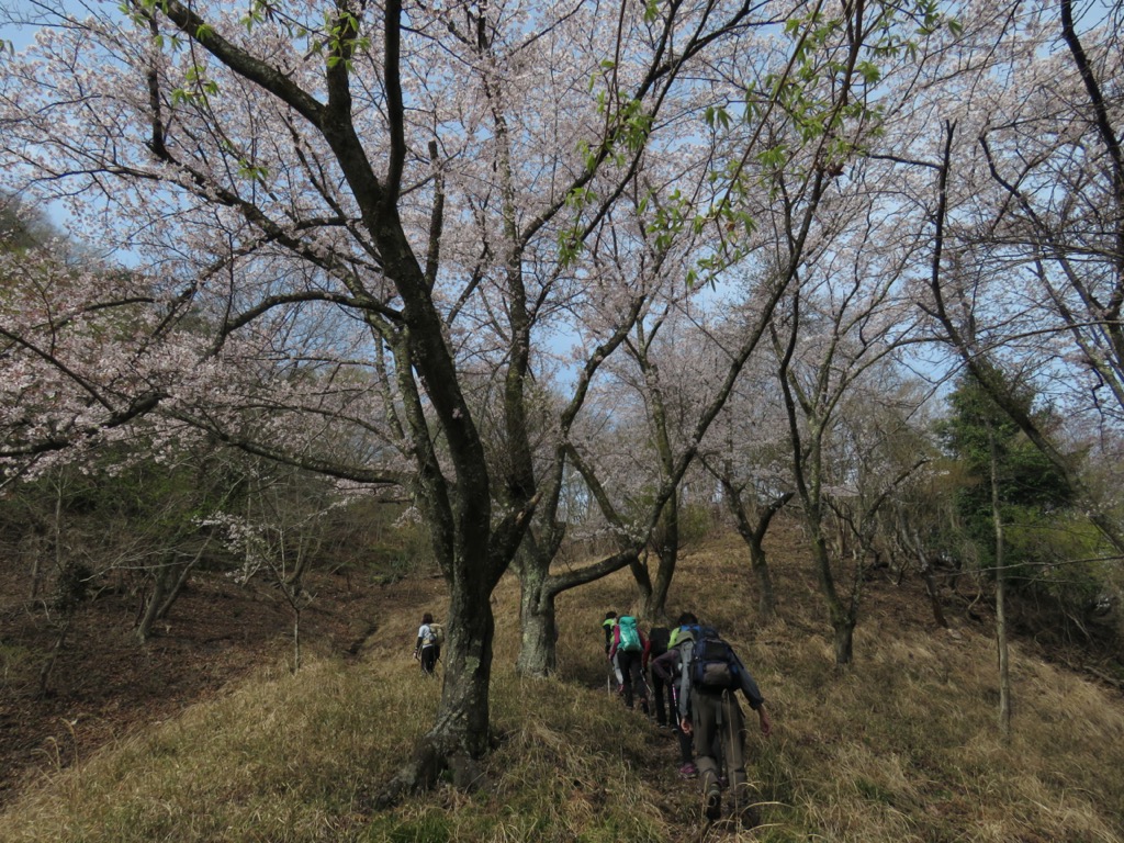 岩殿山