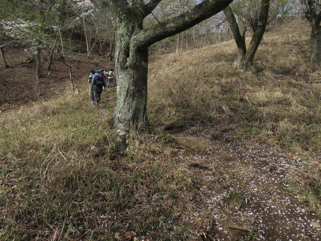 岩殿山