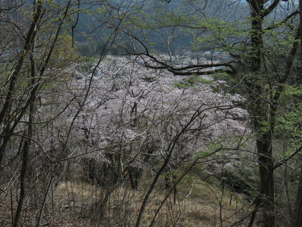 岩殿山