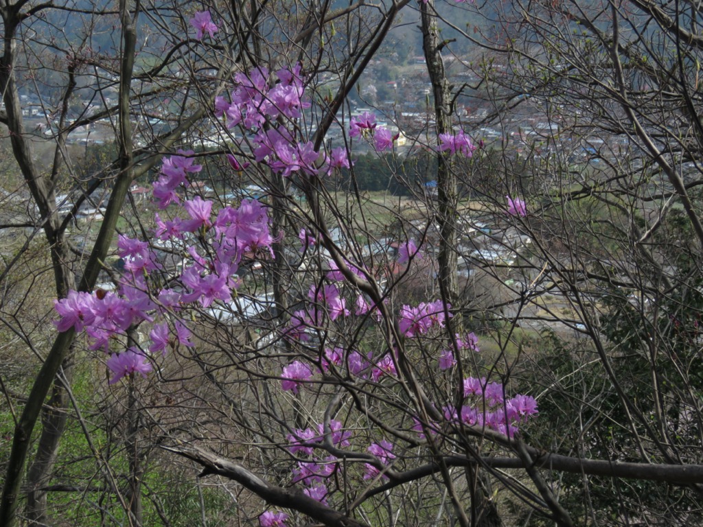 岩殿山