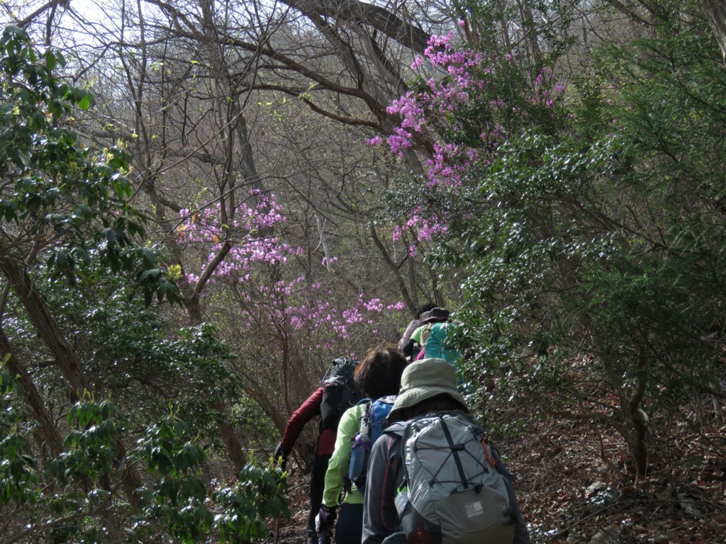 岩殿山