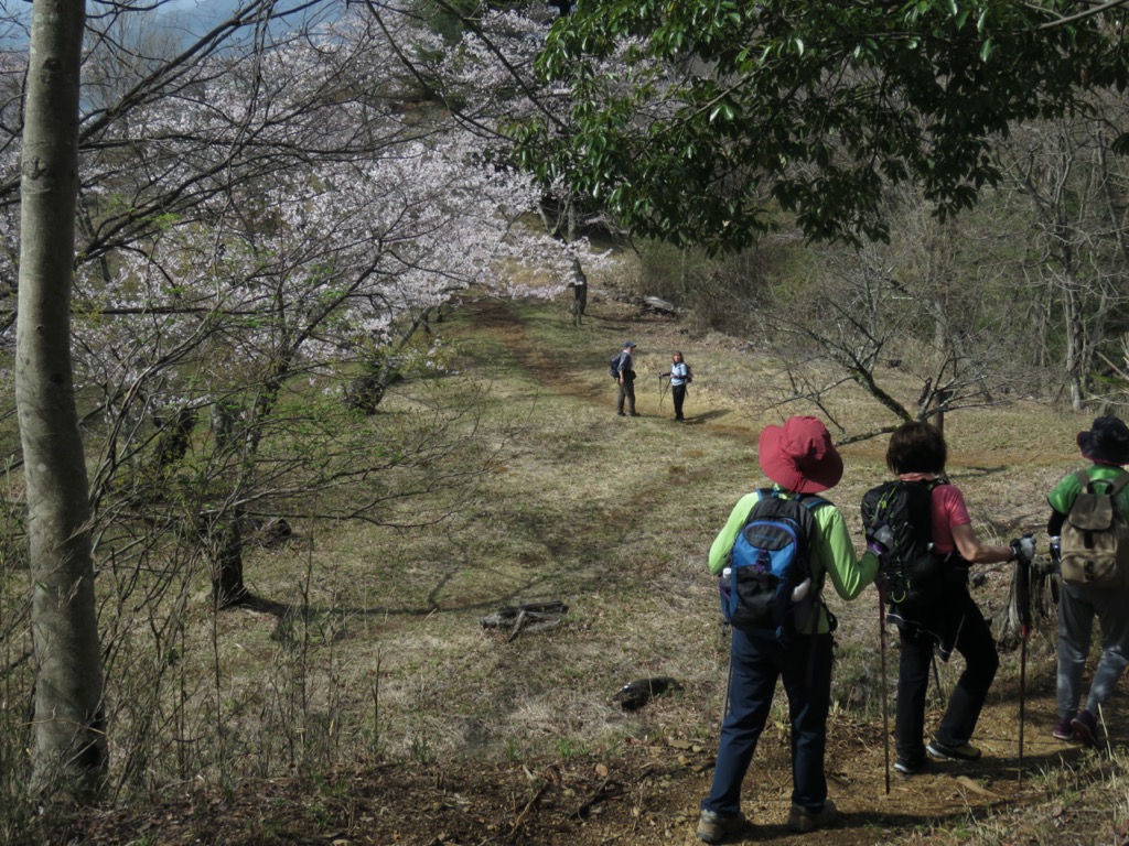 岩殿山