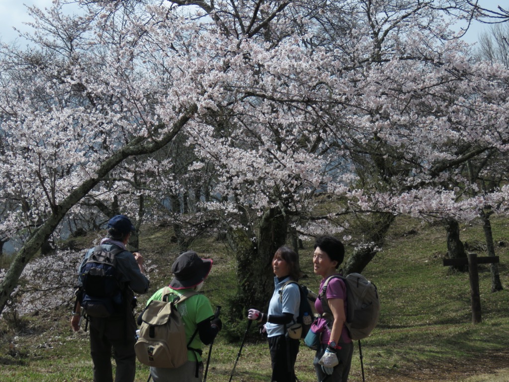 岩殿山