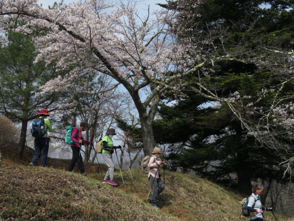 岩殿山