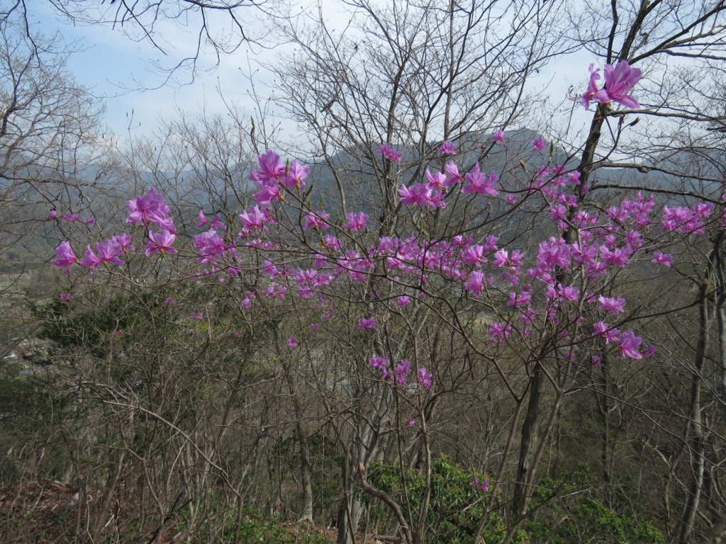 岩殿山