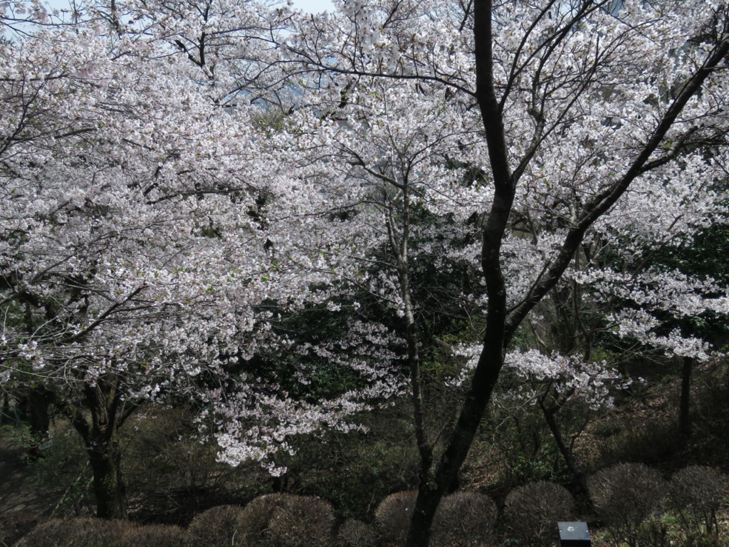 岩殿山